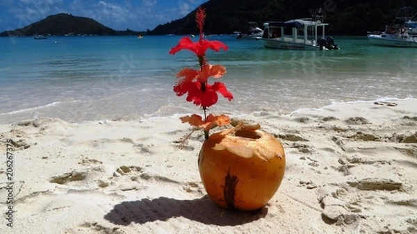 Obraz Coco and Flower