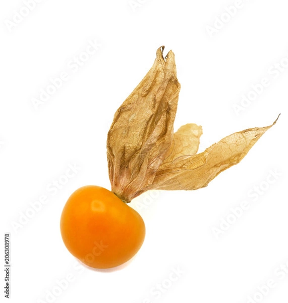 Obraz Fresh cape goosebery, physalis, on white background
