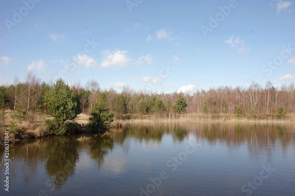 Fototapeta forest lake