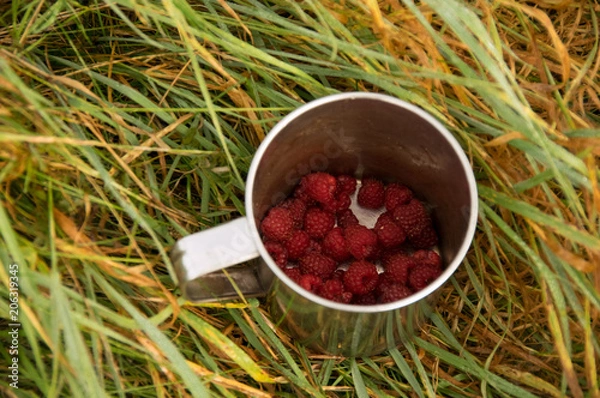 Obraz Forest raspberry