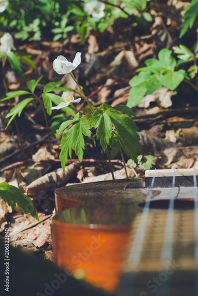 Obraz ukulele forest, flowers, green leafs