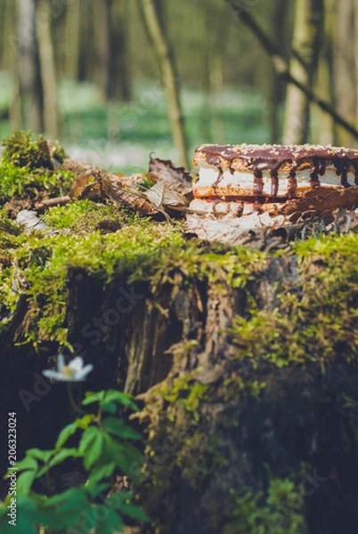 Obraz  coffee percolator, picnic