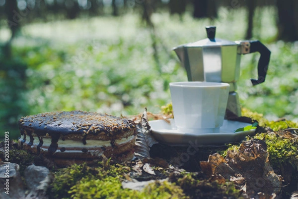 Obraz  coffee percolator, picnic, forest, chocolate cake