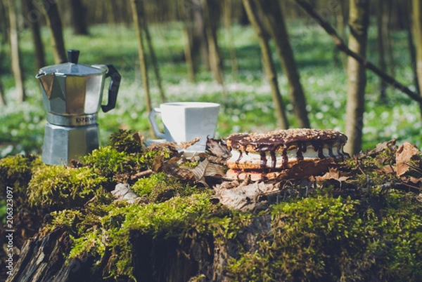 Obraz  coffee percolator, picnic