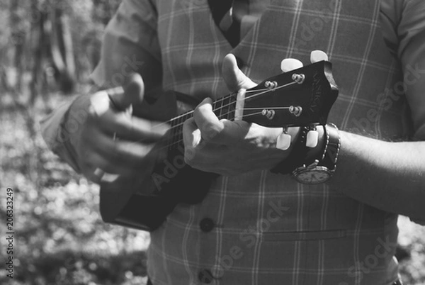 Obraz man is playing on ukulele