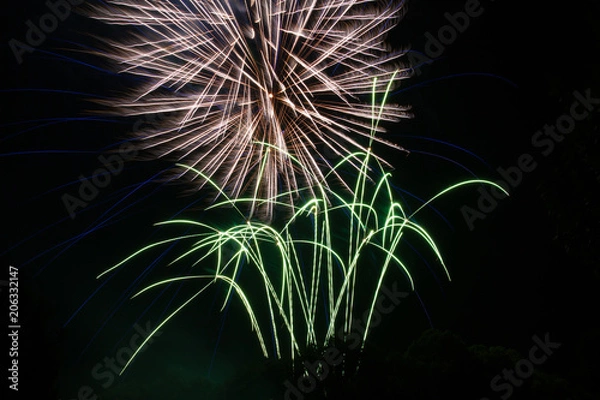 Obraz Feu d'artifice