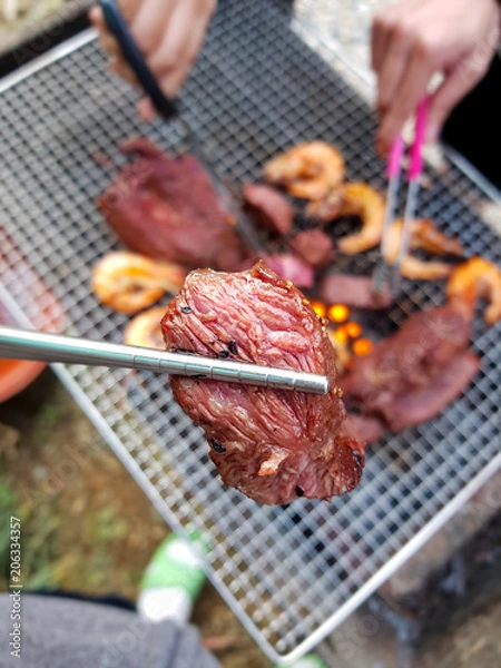 Obraz   Camping, beef