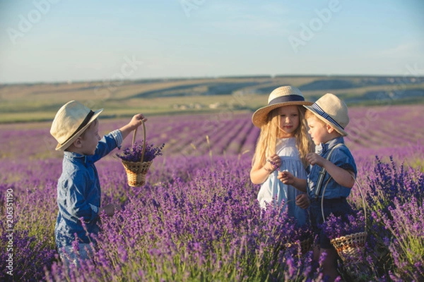 Obraz Three happy children in lavender field