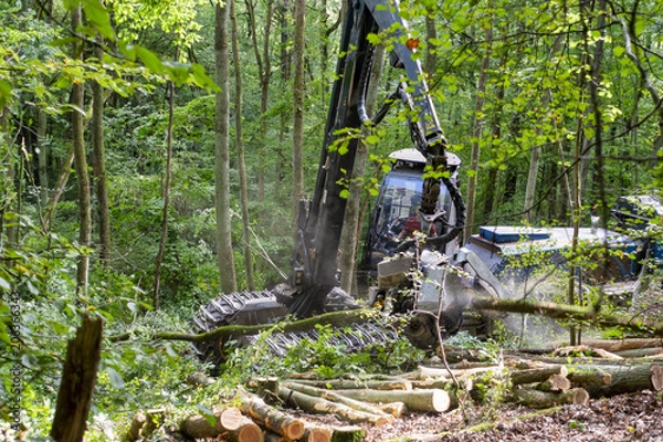 Obraz Harvester bei der Ernte