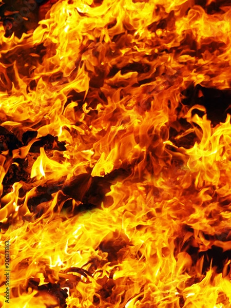 Fototapeta fire field background