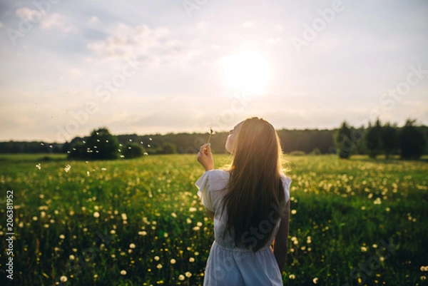 Obraz excellent sunny day