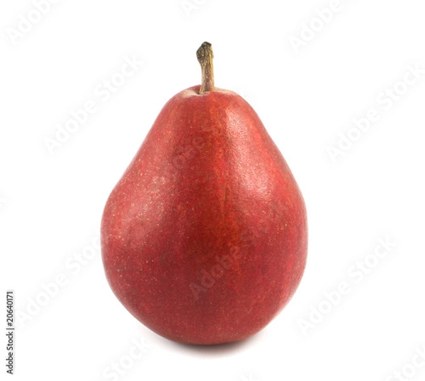 Fototapeta pear