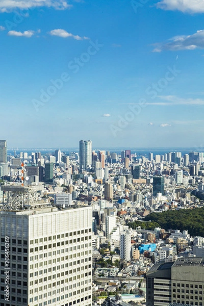 Obraz Cityscape of Shinjuku Metropolitan Government Lookout,Tokyo