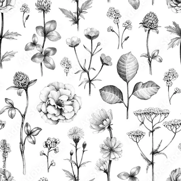 Fototapeta Wild flowers drawings. Seamless pattern