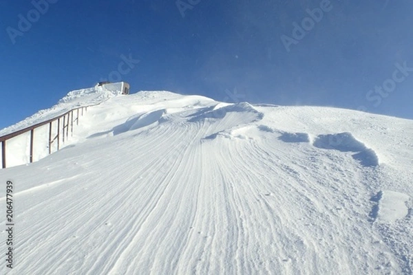 Obraz 冬期　富士山