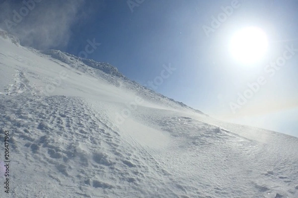 Obraz 冬期　富士山