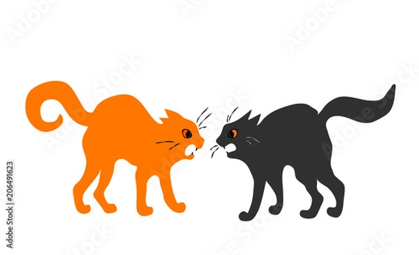 Obraz two quarreling cats on white background