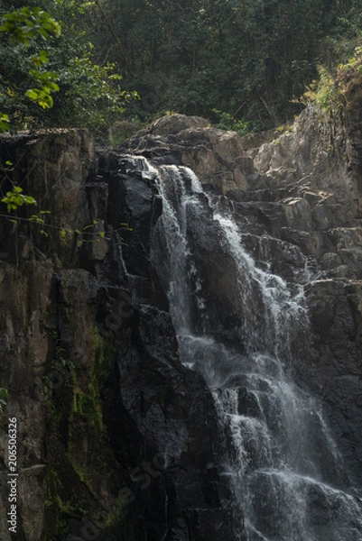 Obraz Water fall summer time