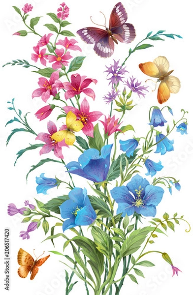 Fototapeta Bouquet of wild herbs and flowers with butterflies isolated on white