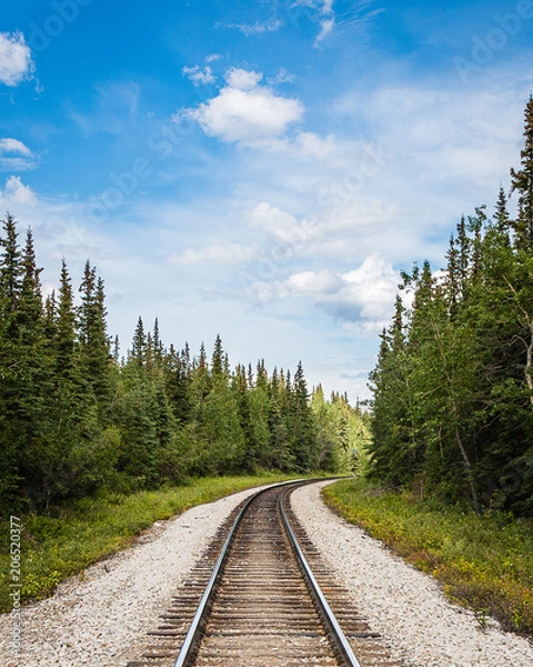 Obraz Railroad tracks through the forest in Alaska