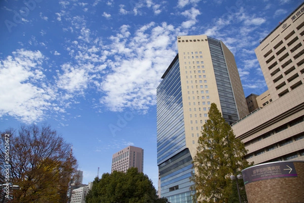 Fototapeta 東京医科歯科大学周辺の風景