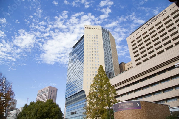 Fototapeta 東京医科歯科大学周辺の風景