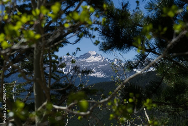 Fototapeta Mountain through trees