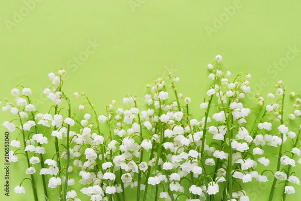 Obraz Romantic gentle flower background, lily of the valley on a green background, top view, flat layout. 