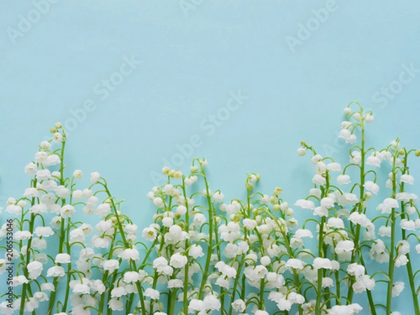 Obraz Romantic gentle flower background, lily of the valley on a blue background, top view, flat layout. 