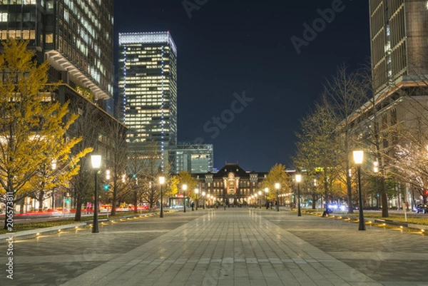 Obraz 東京駅行幸通りの夜景