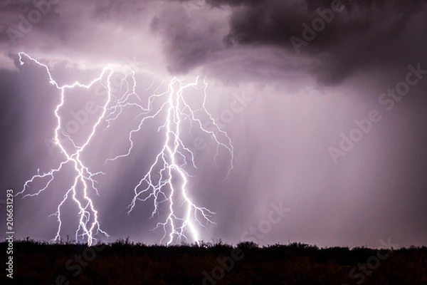 Obraz White Lightning