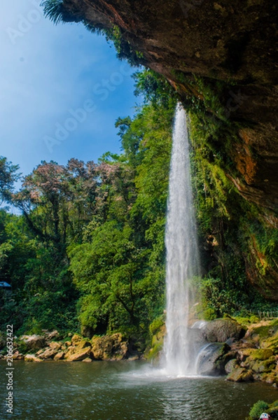 Fototapeta Cascadas de Misol-Ha