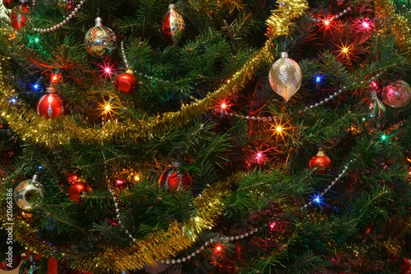 Fototapeta christmas tree