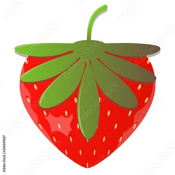 Fototapeta Strawberry. Vector illustration