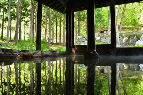 Fototapeta 緑鮮やかな温泉露天風呂