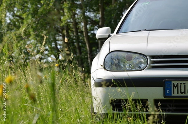 Fototapeta Front view of a white car outdoors between grass