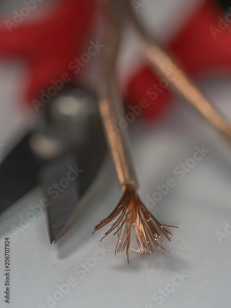 Fototapeta OLYMPUS DIGITAL CAMERA