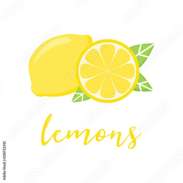 Fototapeta Yellow lemon citrus fruit vector illustration with writing lemons. Whole piece and slice of lemon with green leaves.