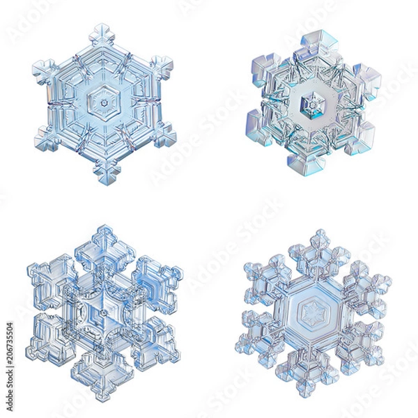 Fototapeta Four snowflakes isolated on white background. Macro photo of real snow crystals: small star plates with glossy relief surface, simple shapes, large central hexagons and complex inner patterns.