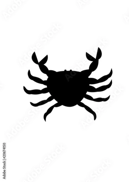 Obraz Black crab