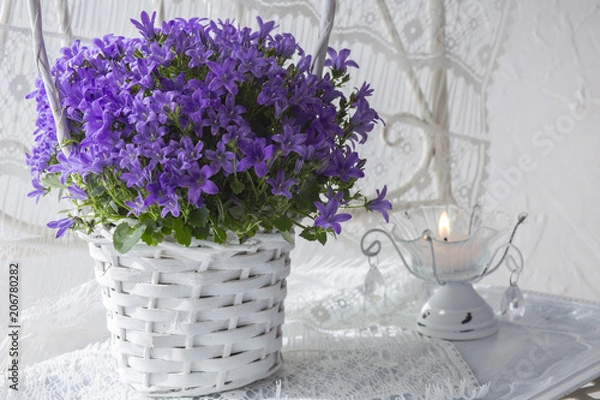 Fototapeta on a white background purple flowers in a white basket and a candle