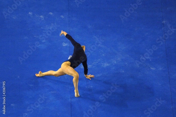 Obraz gymanastic floor 03