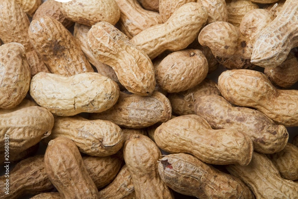 Fototapeta Orzeszki ziemne w tle łupiny