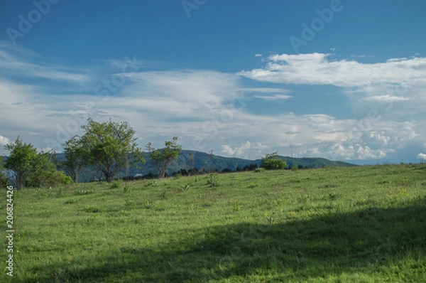 Obraz Green paradise