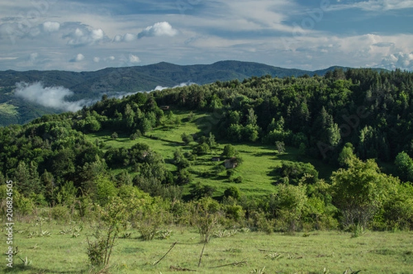 Obraz Green paradise