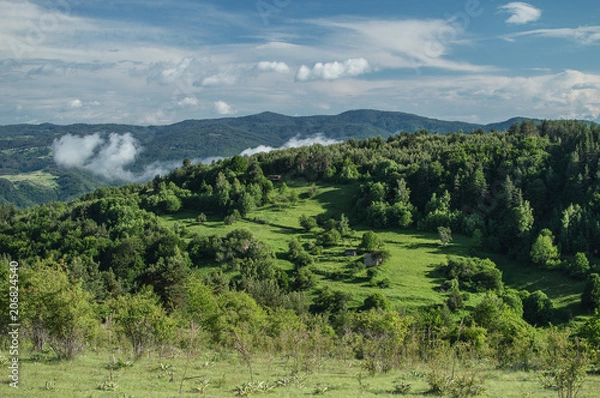 Obraz Green paradise