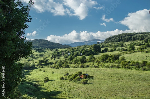 Obraz Green paradise