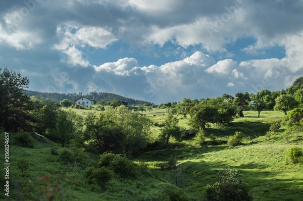 Obraz Green paradise