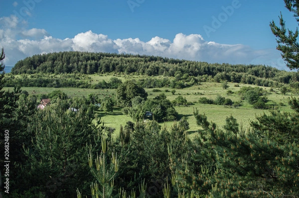 Obraz Green paradise