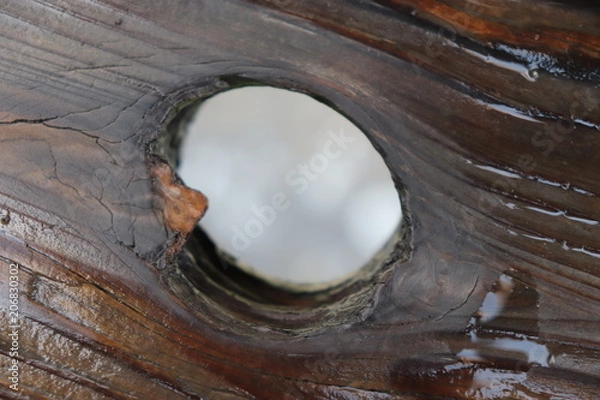 Obraz A hole in wood (bridge)